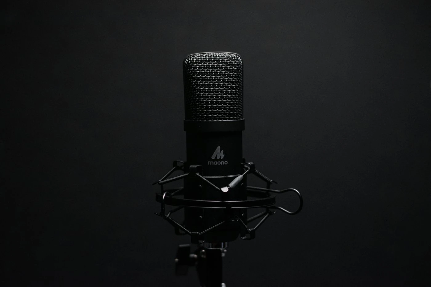 Studio microphone against a dark background — thematic stock photo, not a scene from the series